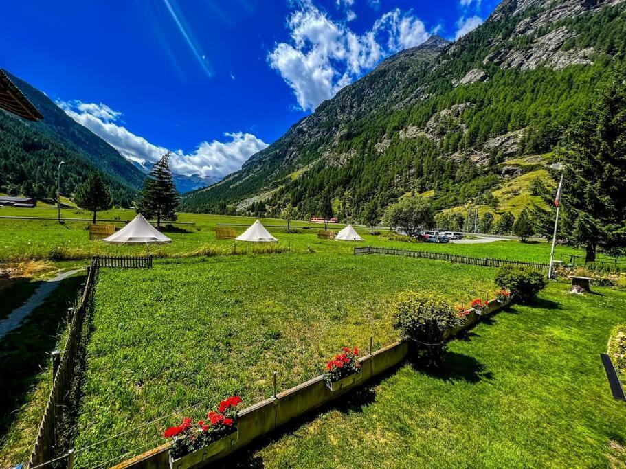 Panorama Hideaway Apartment Near Zermatt With Parking! Tasch Exterior photo